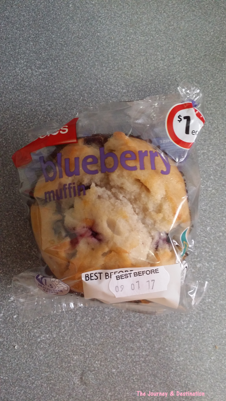 blueberry-muffin-1
